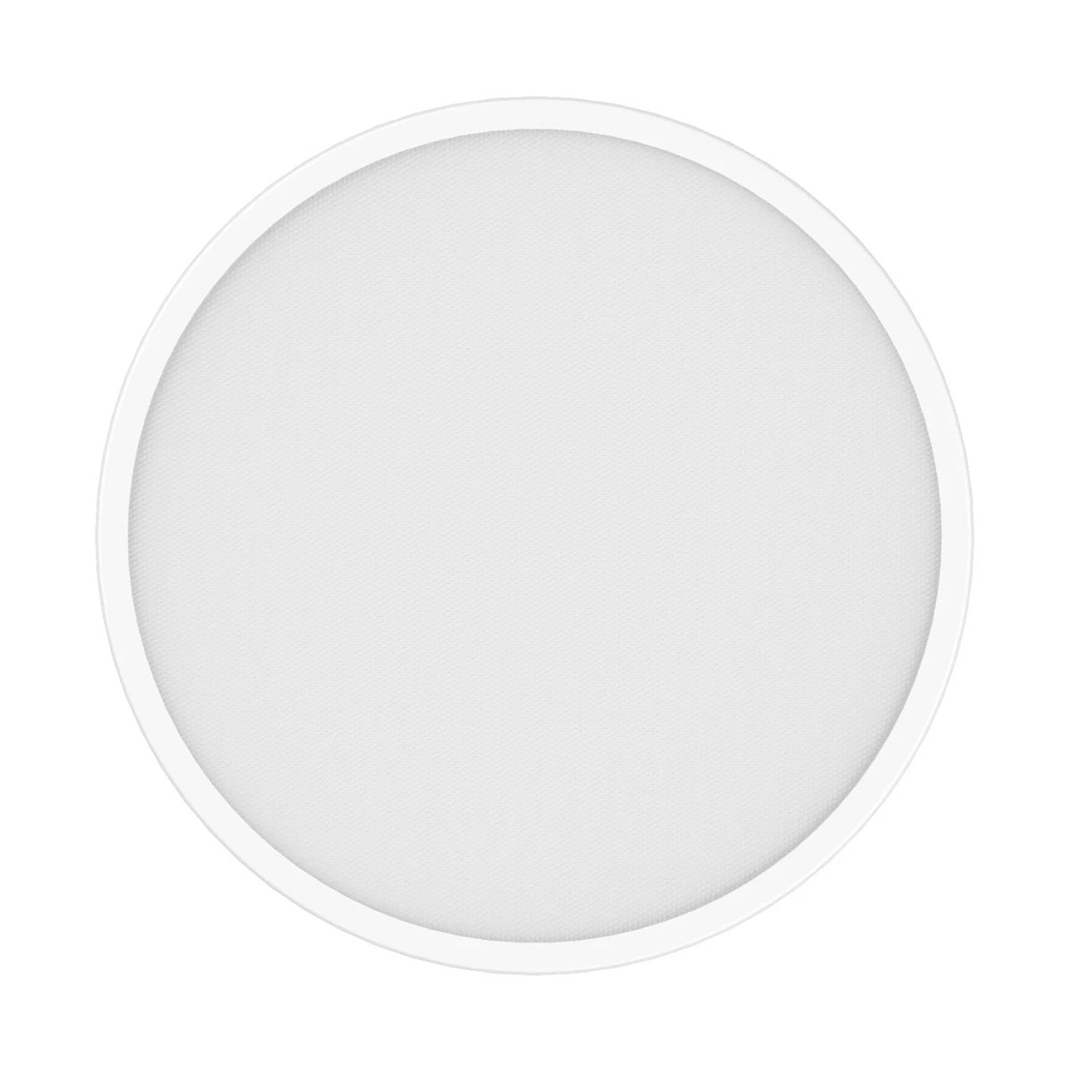 #WHITE