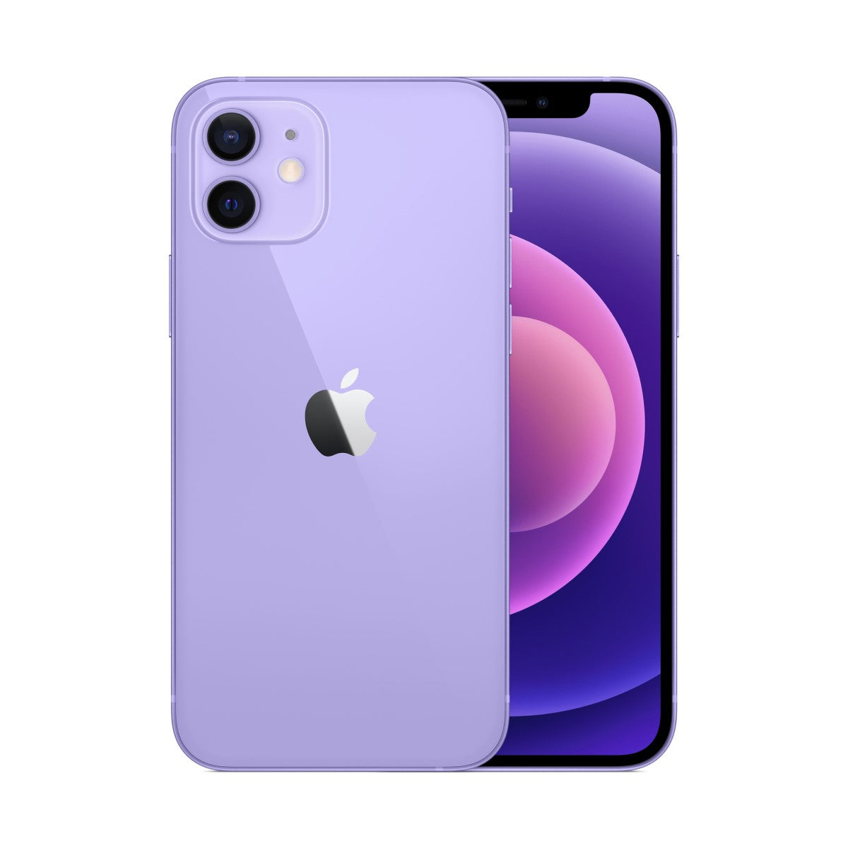 #PURPURA