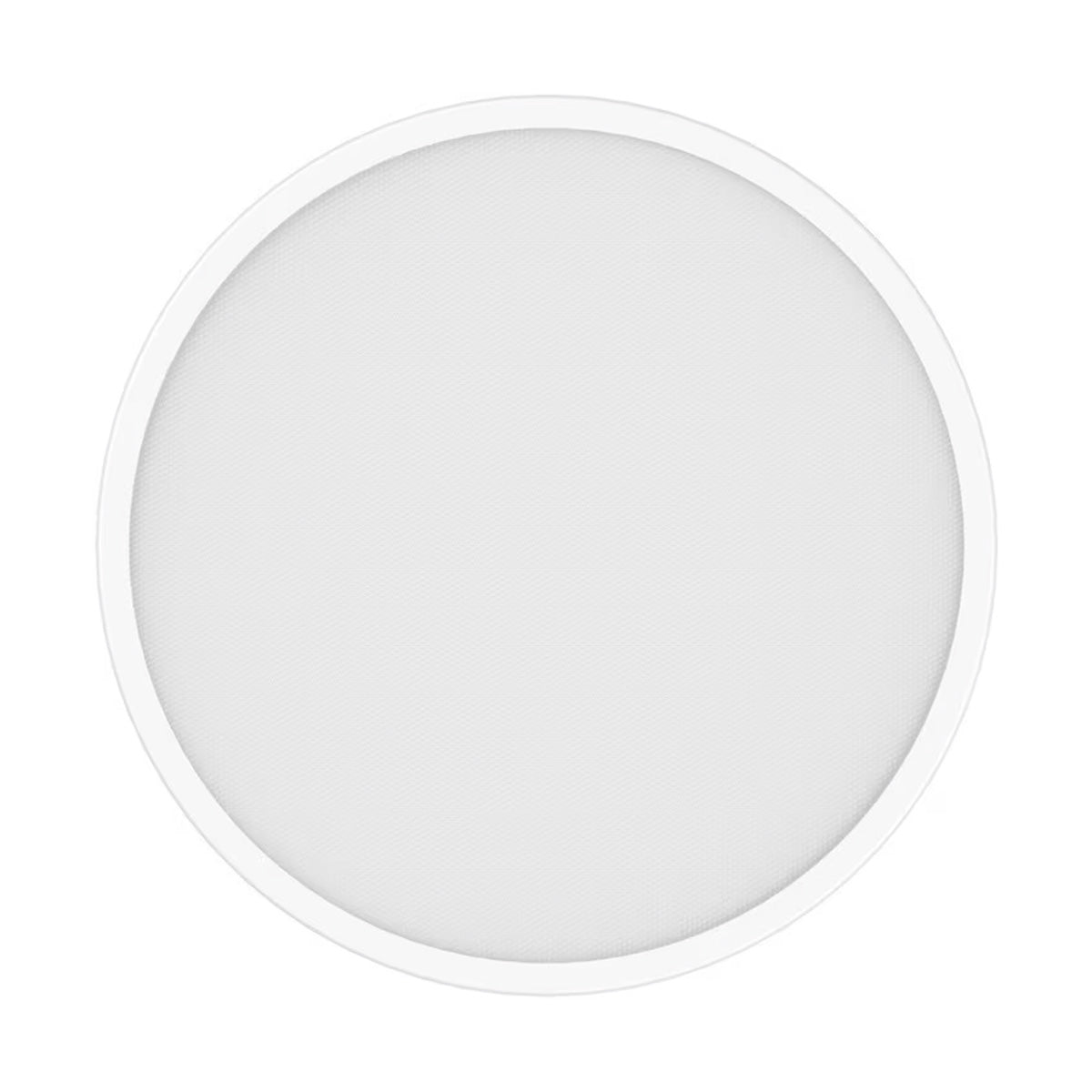 #WHITE