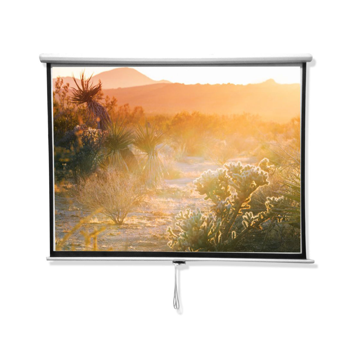 Pantalla Retráctil para Proyector 120" con Sistema de Bloqueo