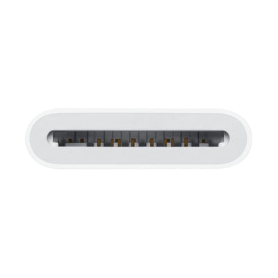 Adaptador Apple lector de tarjetas SD USB-C