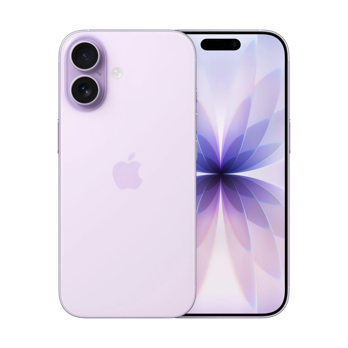 #LAVANDA