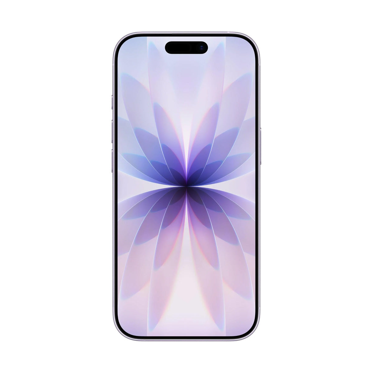 #LAVANDA