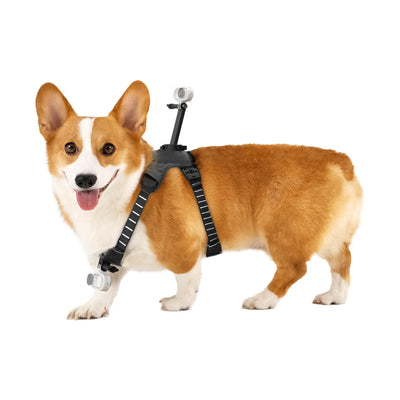 Arnés para mascotas talla M (5/20Kg) para Insta360 GO 3/ GO 3S