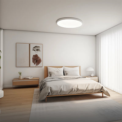 Lámpara de techo Xiaomi Smart Ceiling Light D20
