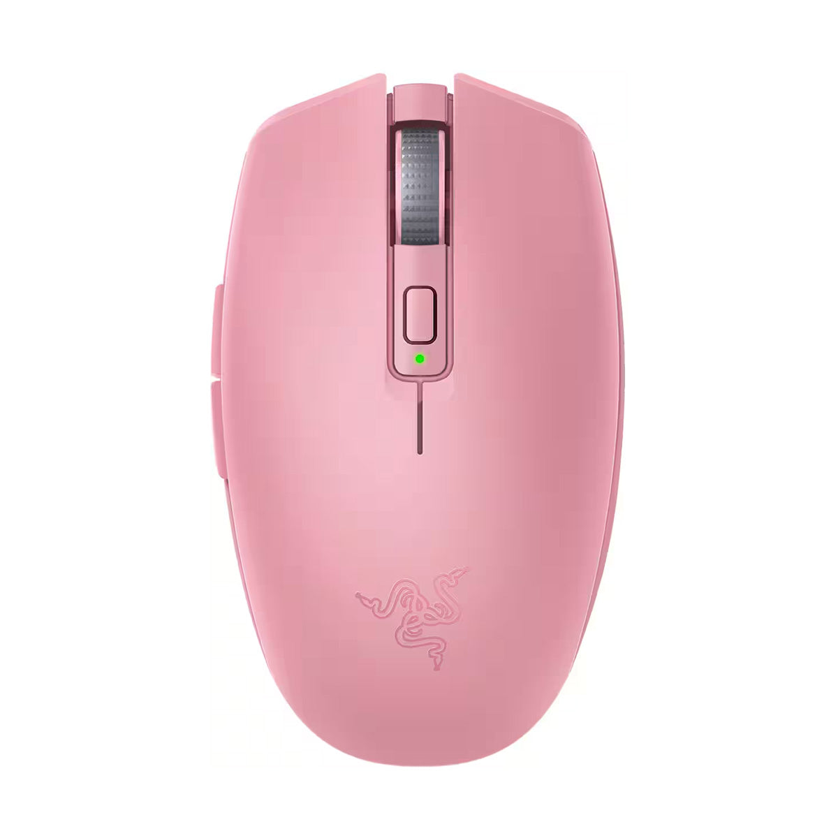 #ROSA