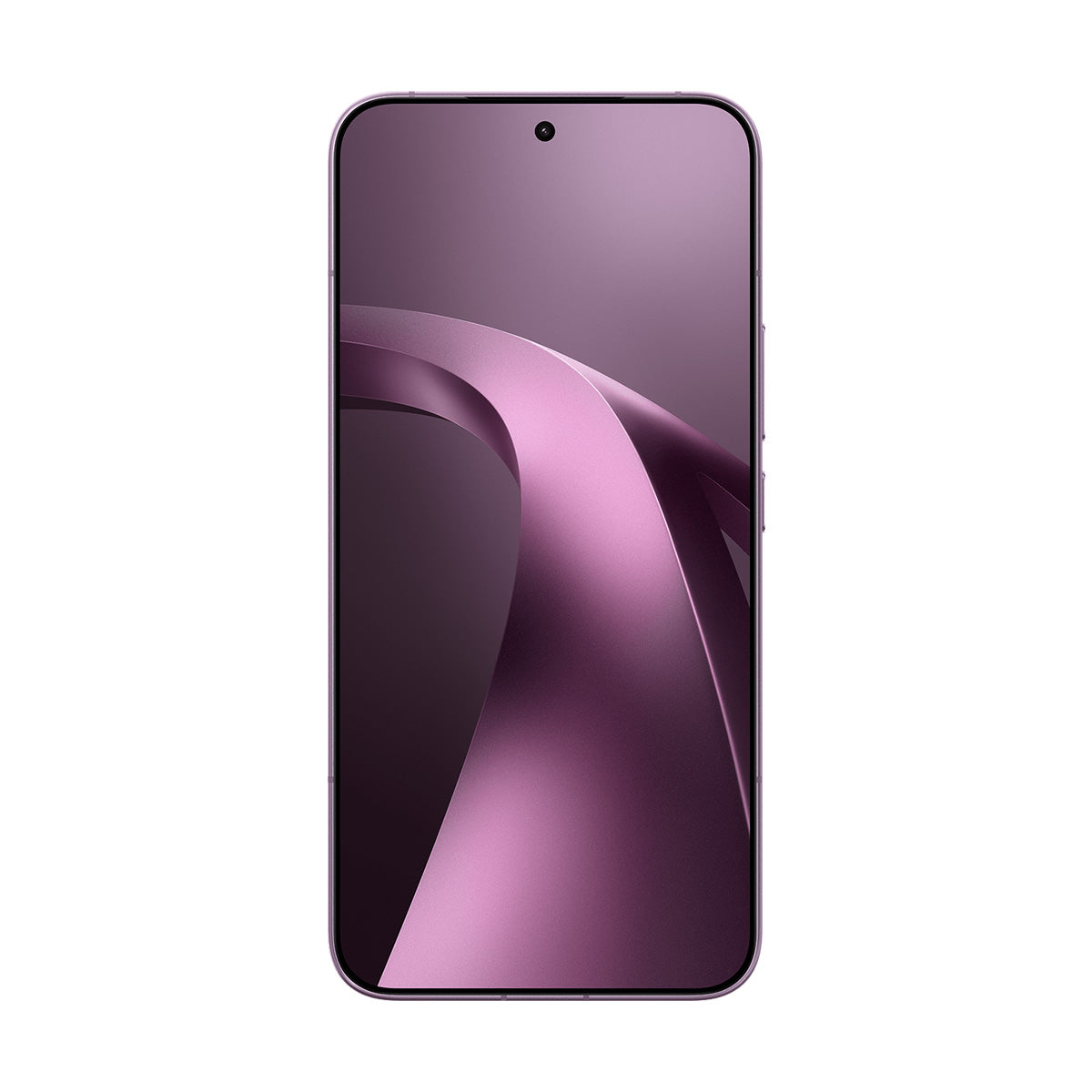 #VIOLETA
